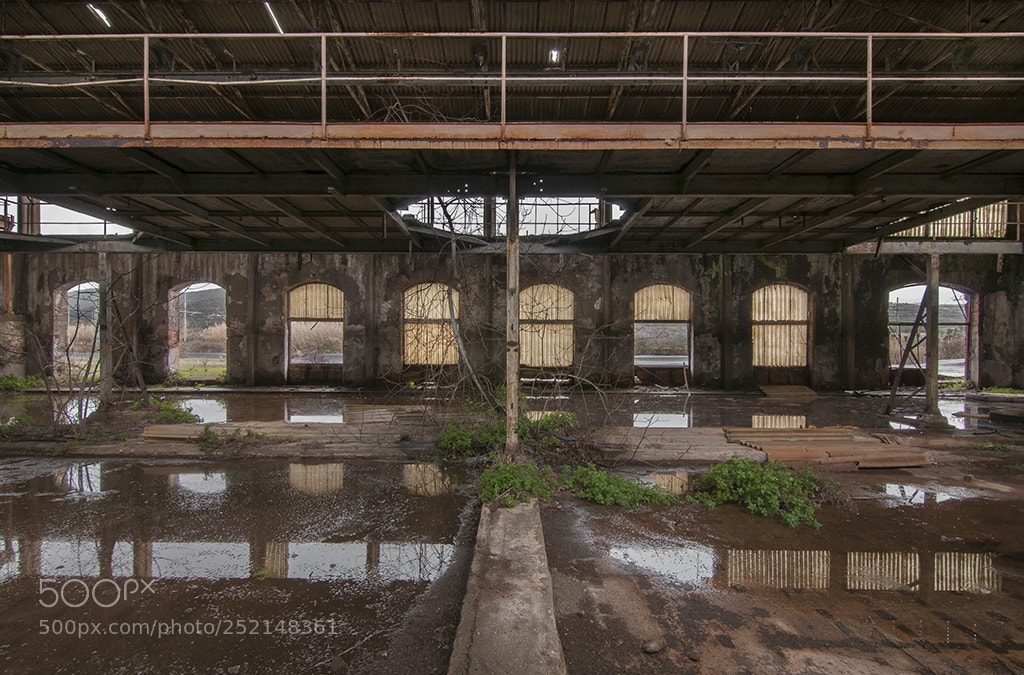 Nikon D300S sample photo. Rivoluzione industriale photography