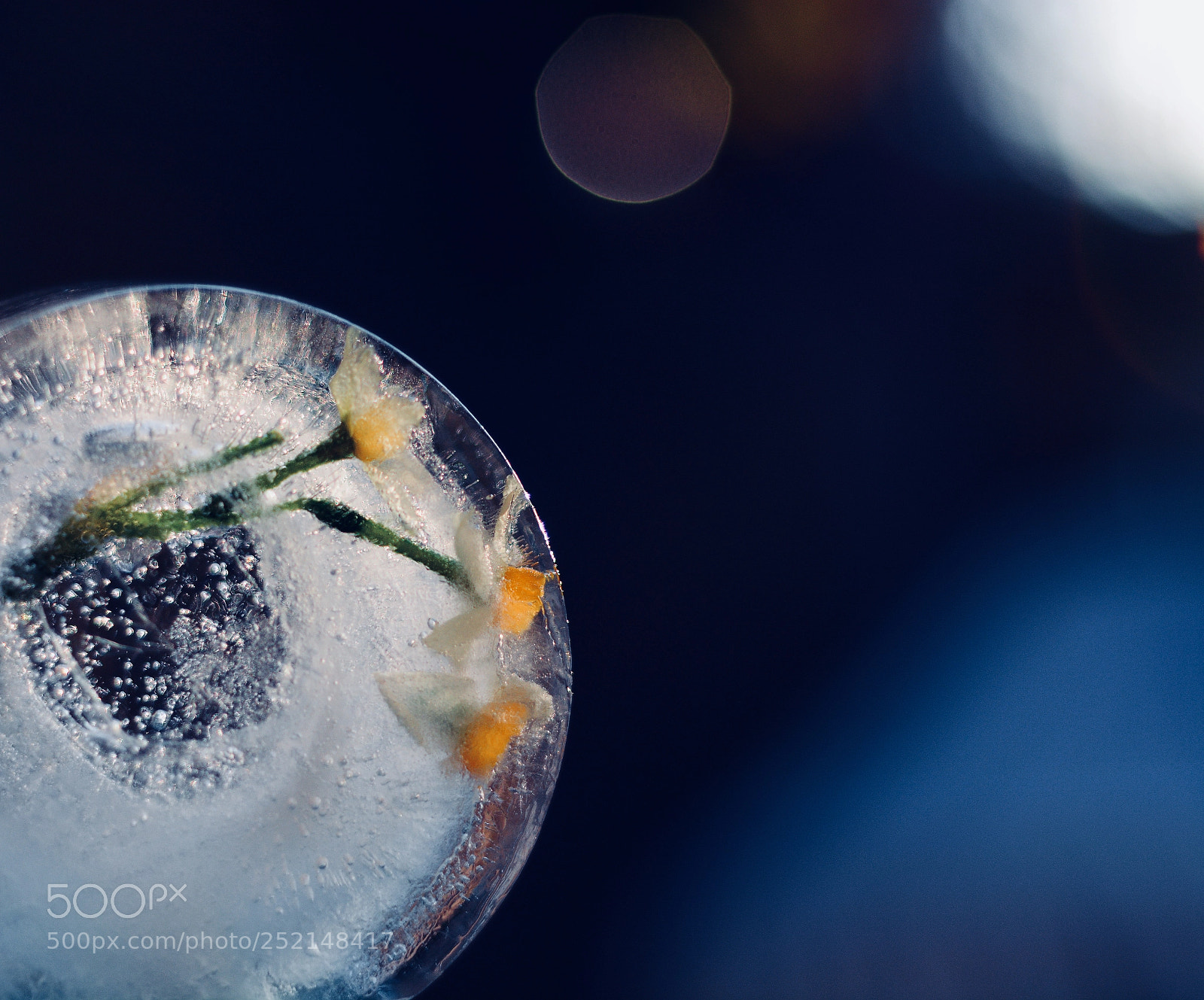 Nikon D7100 sample photo. Frozen photography