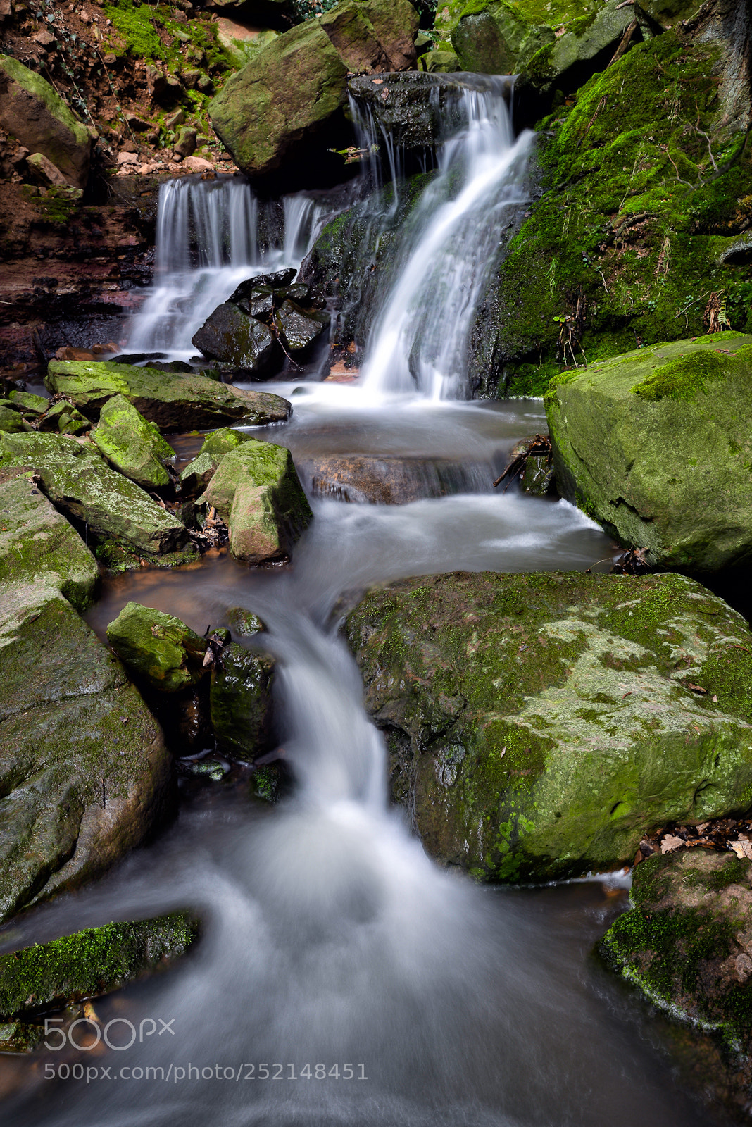 Nikon D800 sample photo. N a t u photography