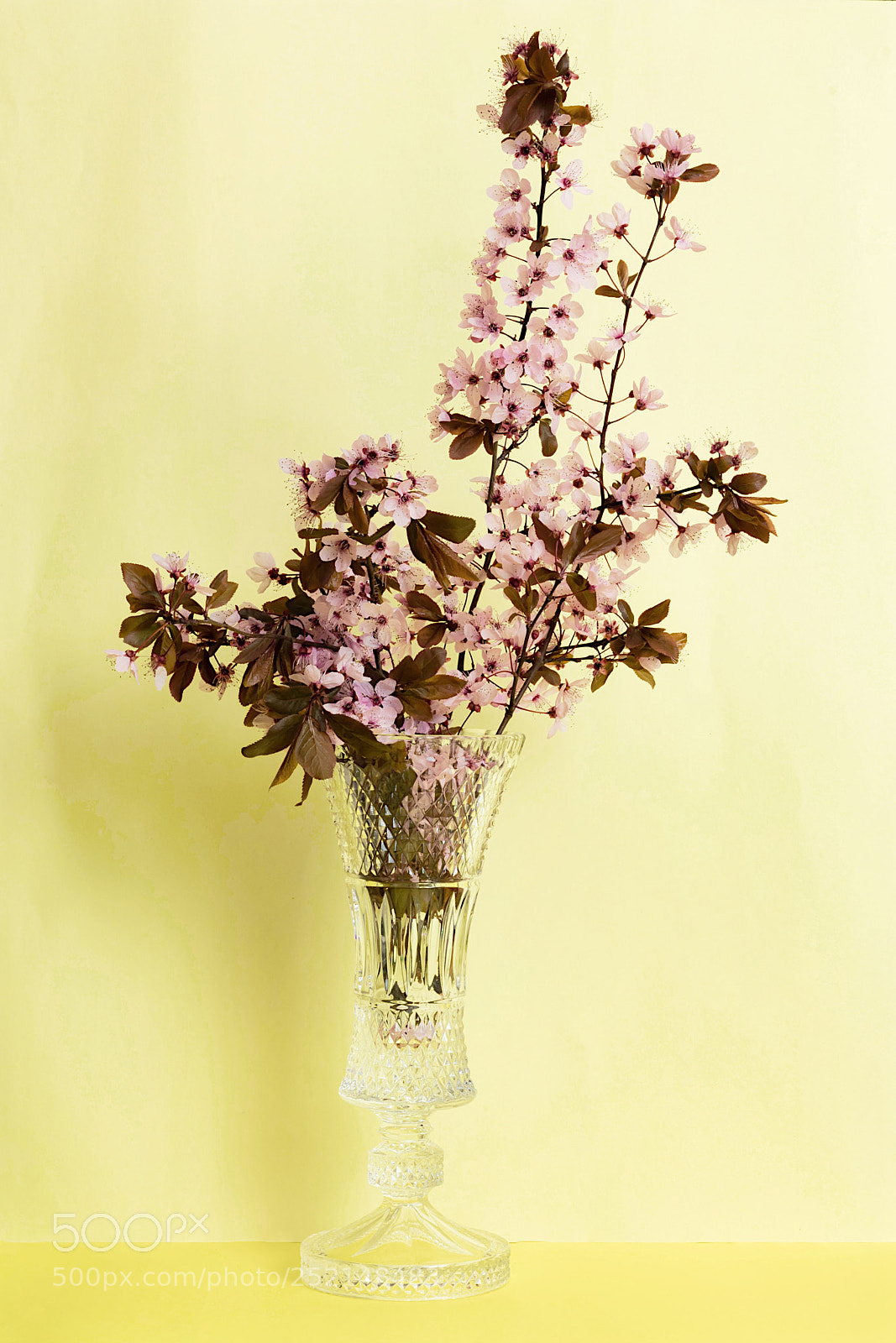 Canon EOS 80D sample photo. Bodegon flores pastel photography