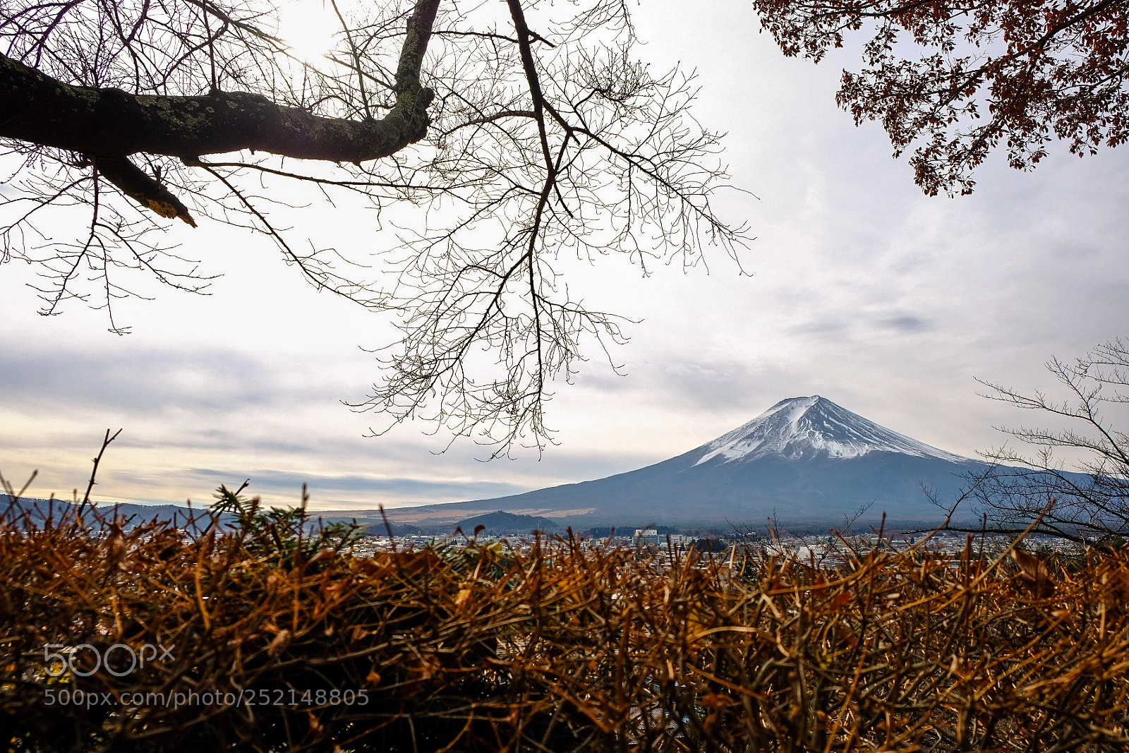 Fujifilm X-T20 sample photo. Untitled photography