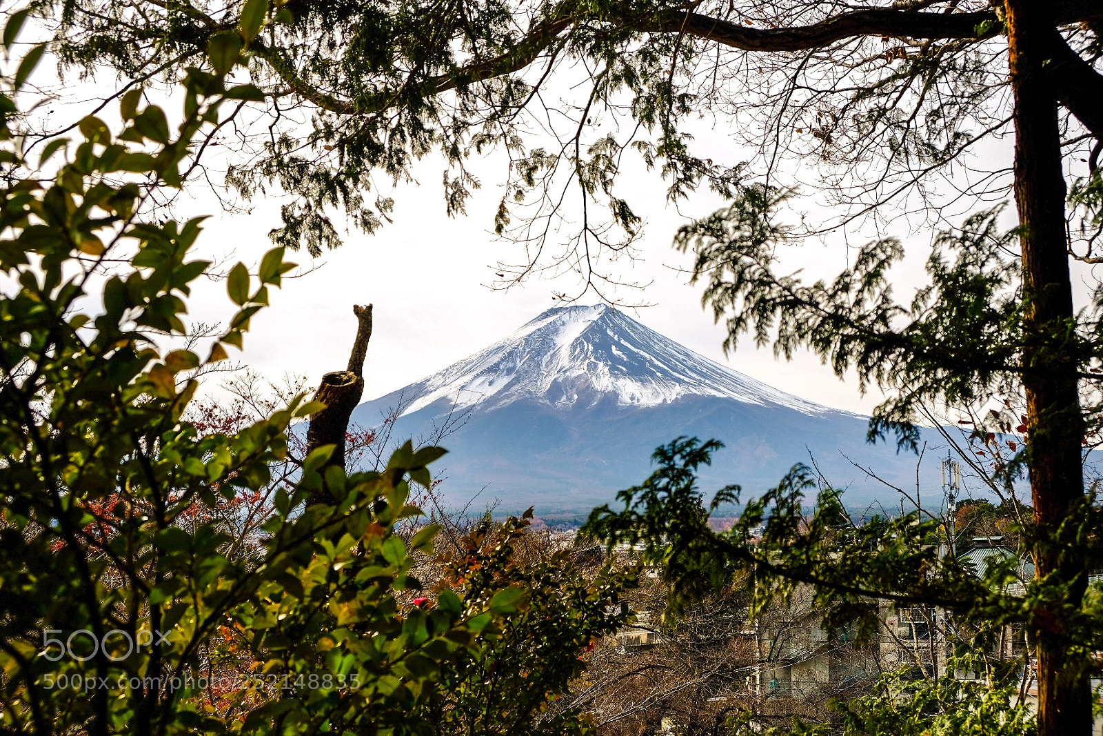 Fujifilm X-T20 sample photo. Untitled photography