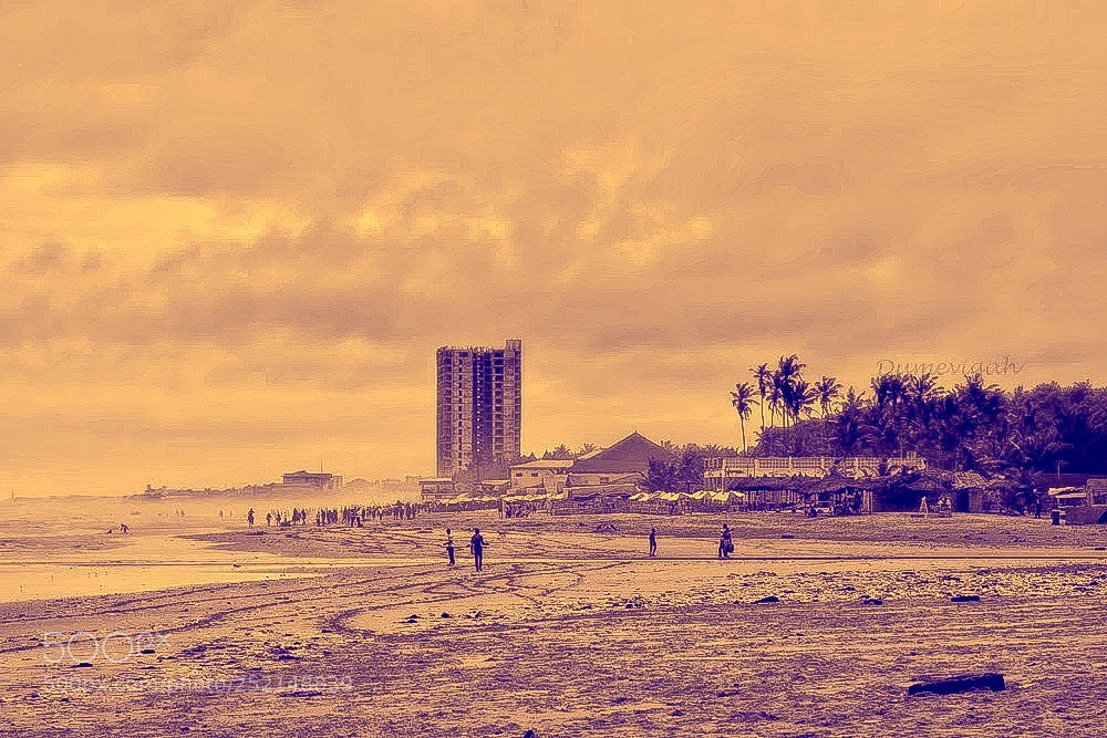 Nikon D5300 sample photo. Labadi photography