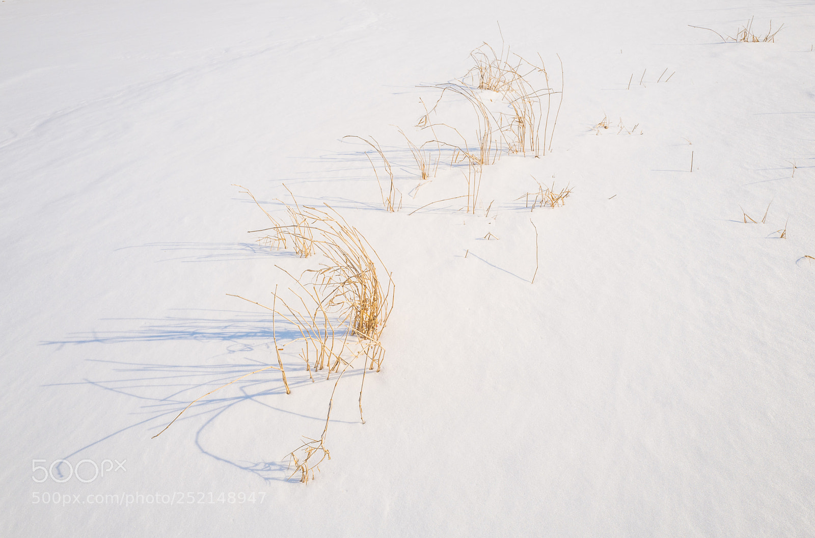 Leica Q (Typ 116) sample photo. 雪地 photography