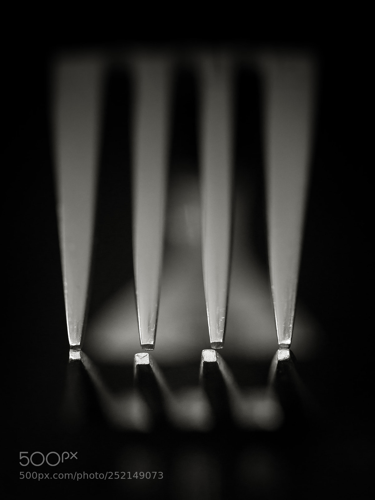 Panasonic Lumix DMC-G85 (Lumix DMC-G80) sample photo. Double fork  - macro photography