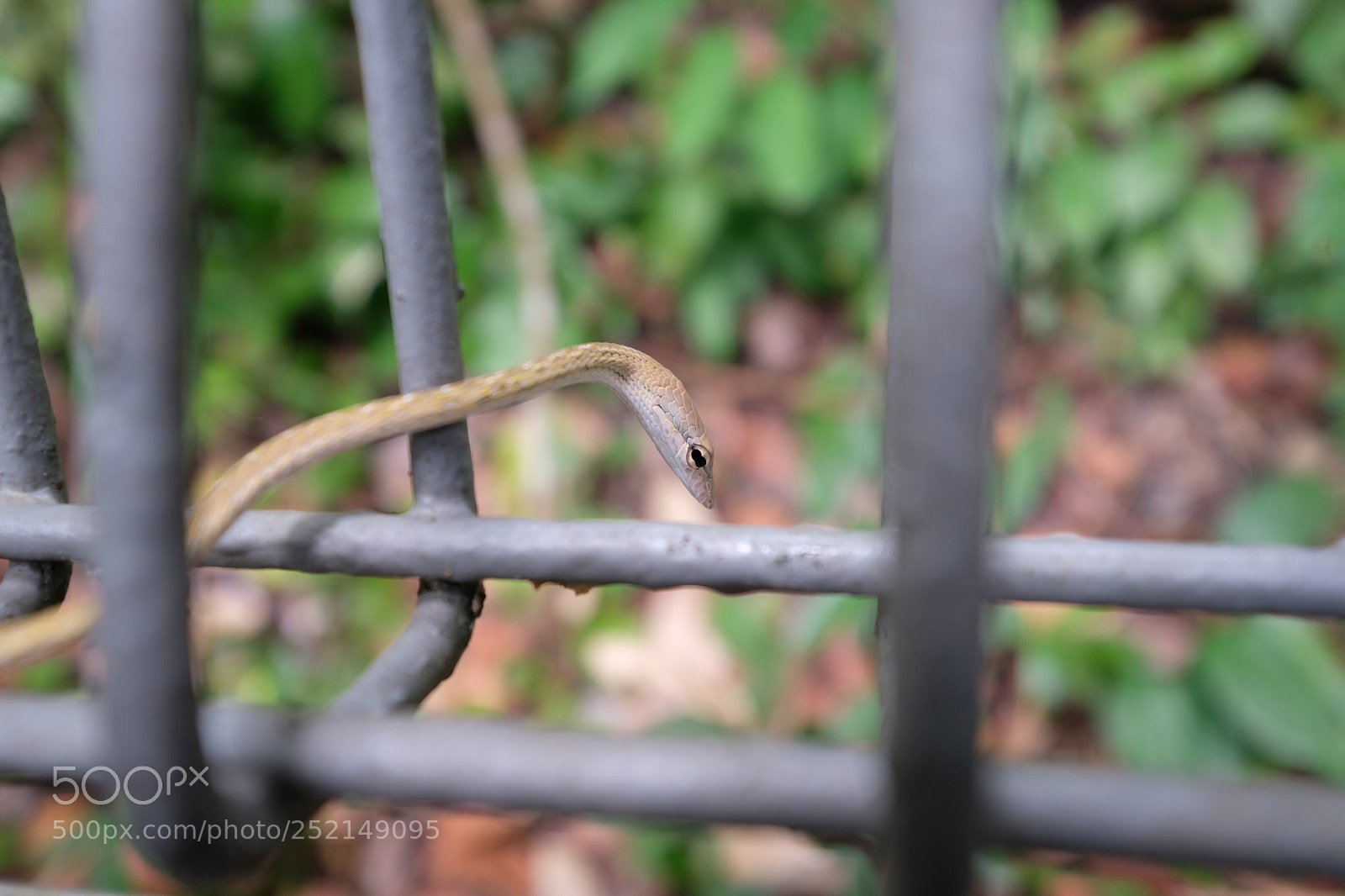 Fujifilm X-T20 sample photo. Dscf photography