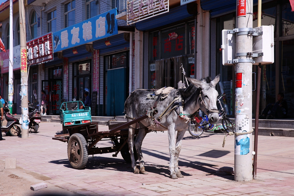 Canon EF 24-70mm F2.8L II USM sample photo. Img photography