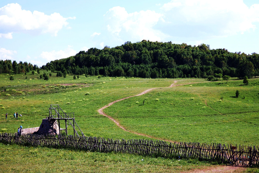 Canon EF 24-70mm F2.8L II USM sample photo. Img photography