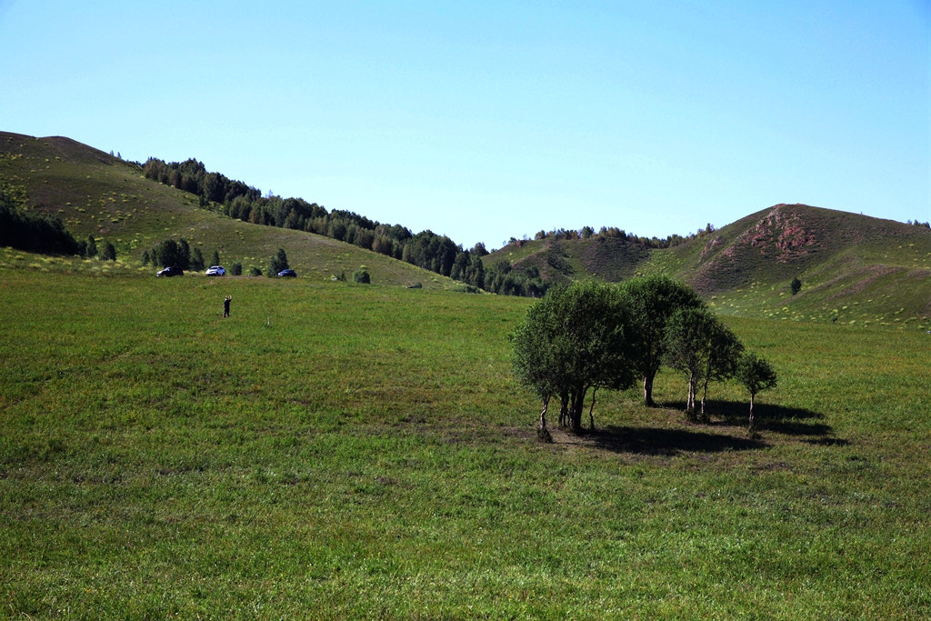 Canon EF 24-70mm F2.8L II USM sample photo. Img photography
