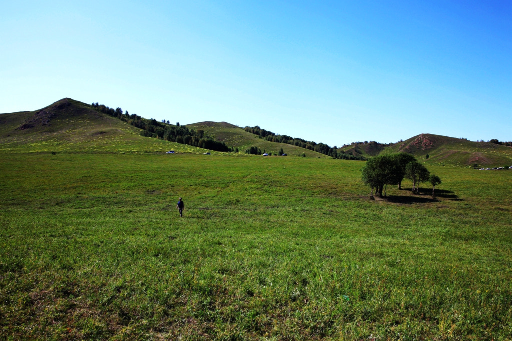 Canon EF 24-70mm F2.8L II USM sample photo. Img photography