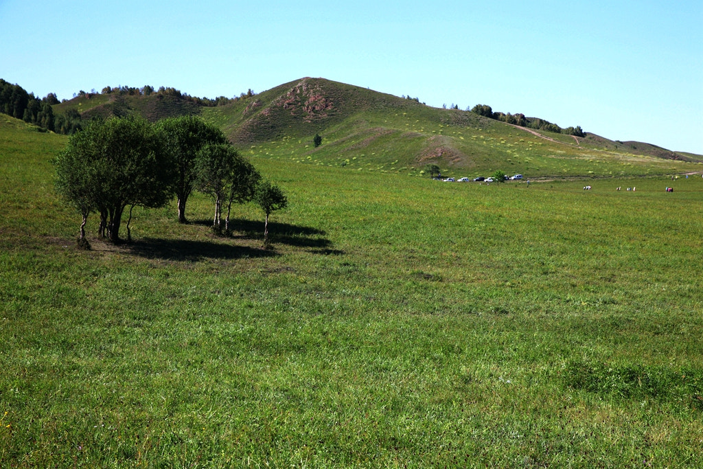 Canon EF 24-70mm F2.8L II USM sample photo. Img photography