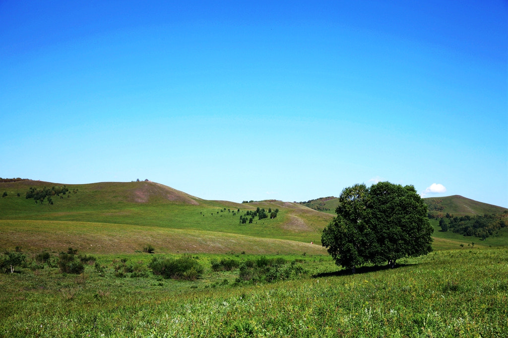 Canon EF 24-70mm F2.8L II USM sample photo. Img photography