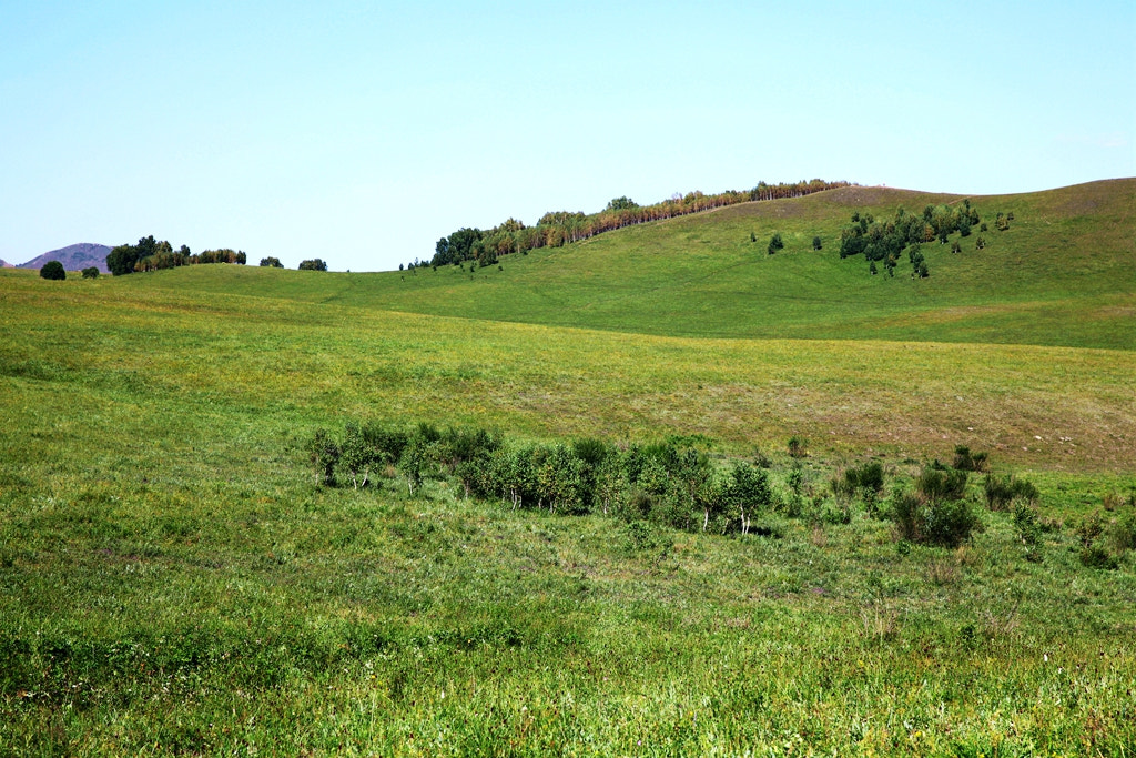 Canon EF 24-70mm F2.8L II USM sample photo. Img photography