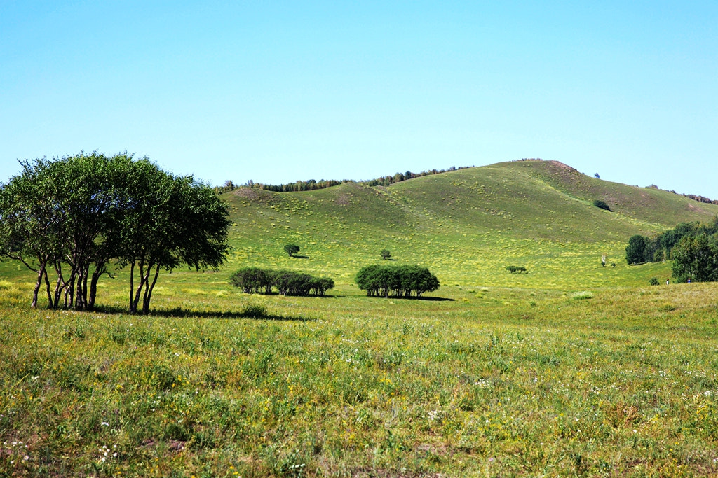 Canon EF 24-70mm F2.8L II USM sample photo. Img photography