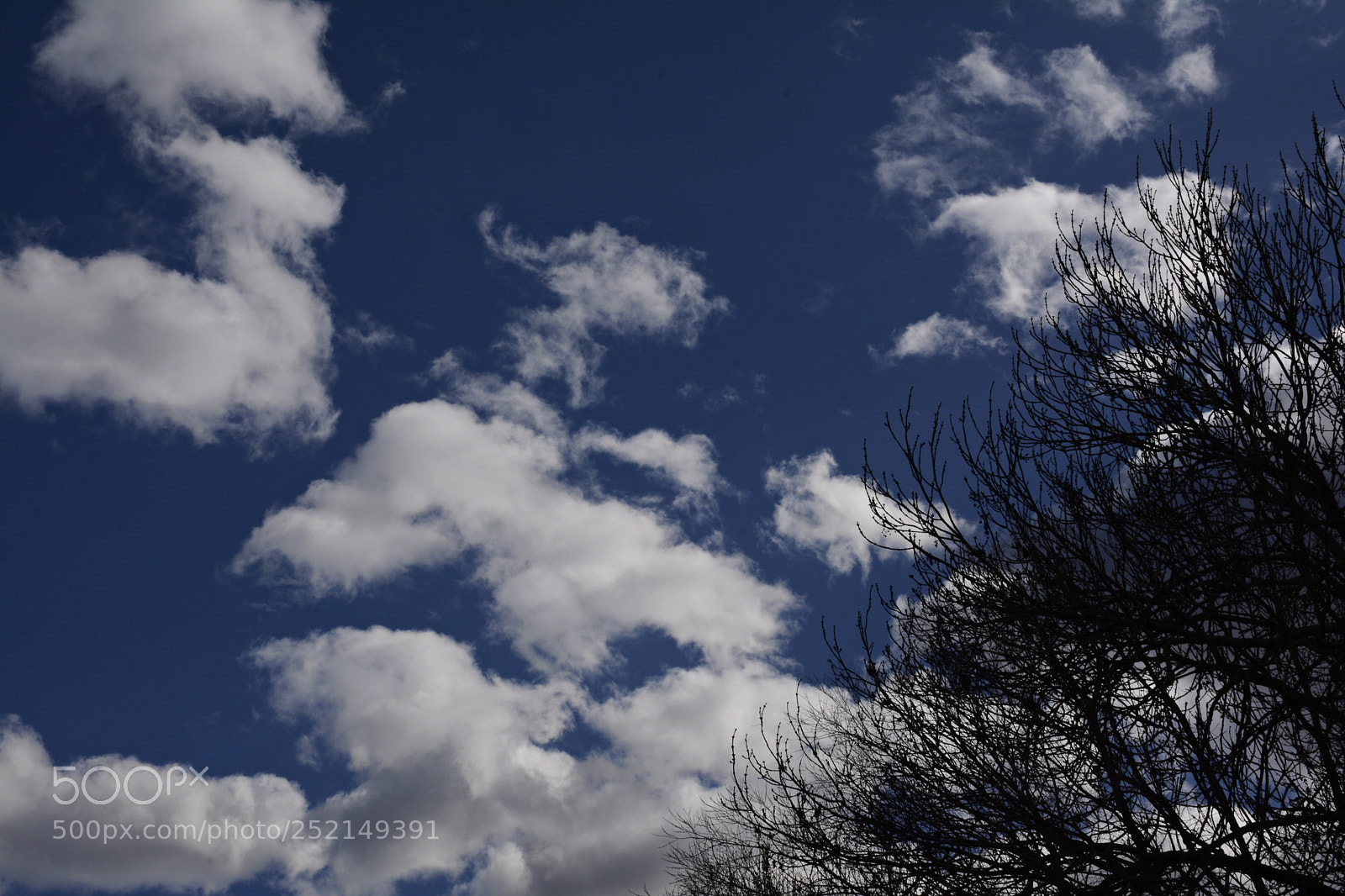 Nikon D7100 sample photo. Branch & cloud photography