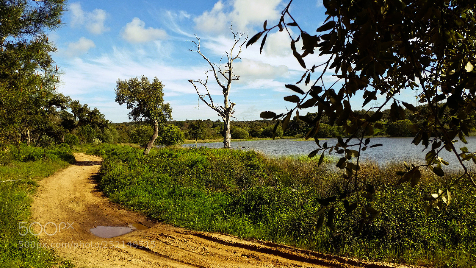 Samsung Galaxy S5 sample photo. Where i was born photography