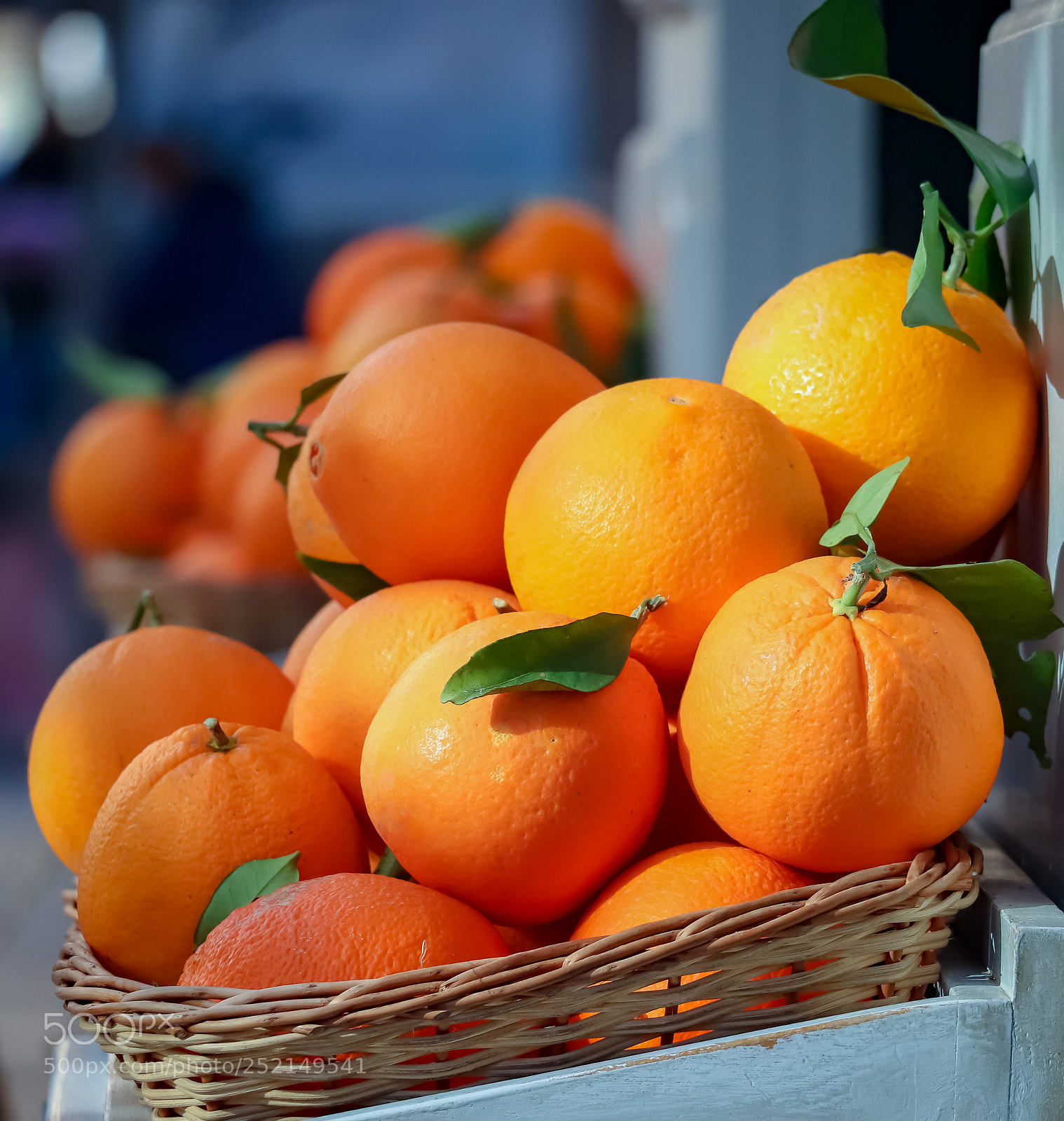 Canon EOS 77D (EOS 9000D / EOS 770D) sample photo. Soller oranges photography