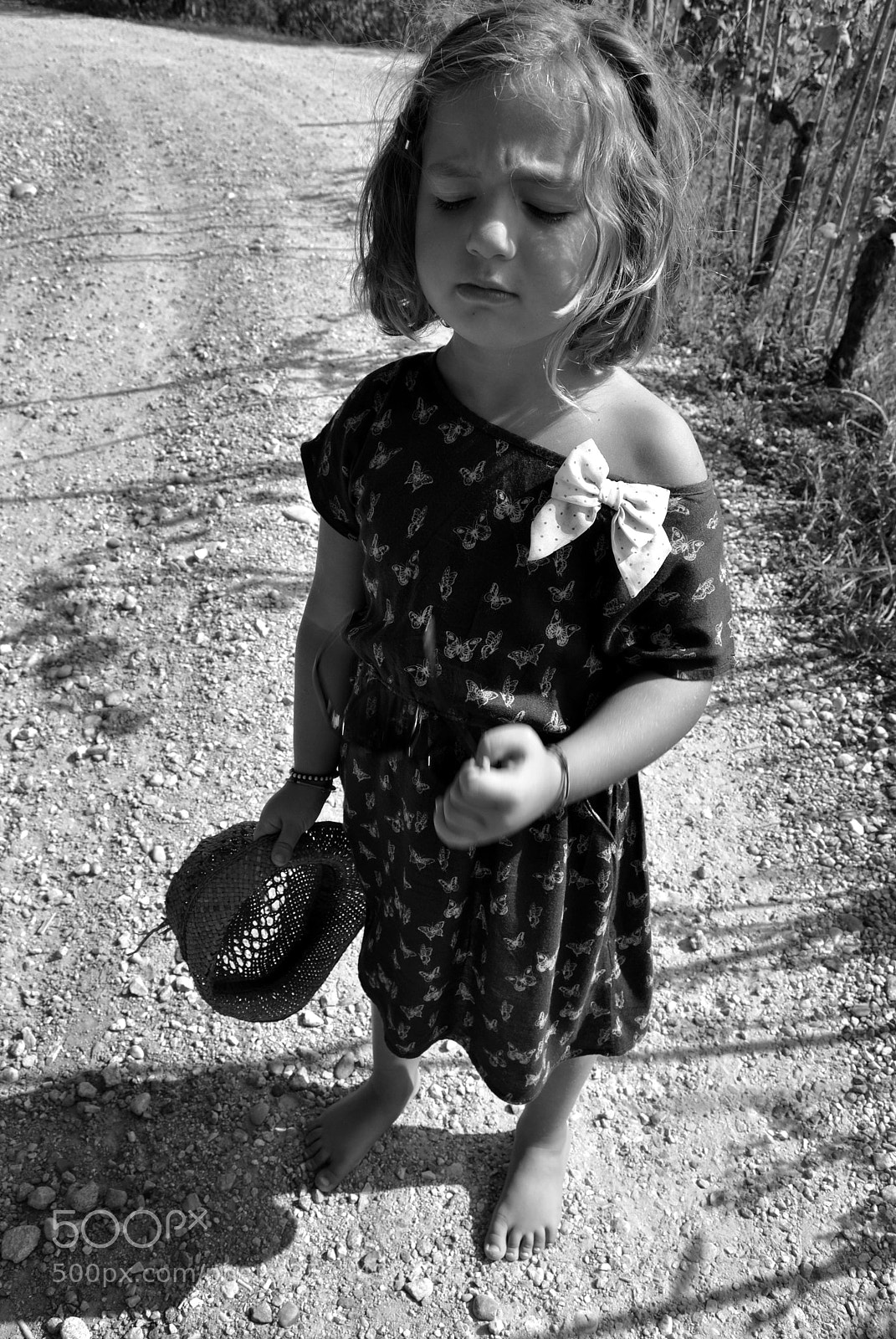 Nikon D3000 sample photo. Untitled photography