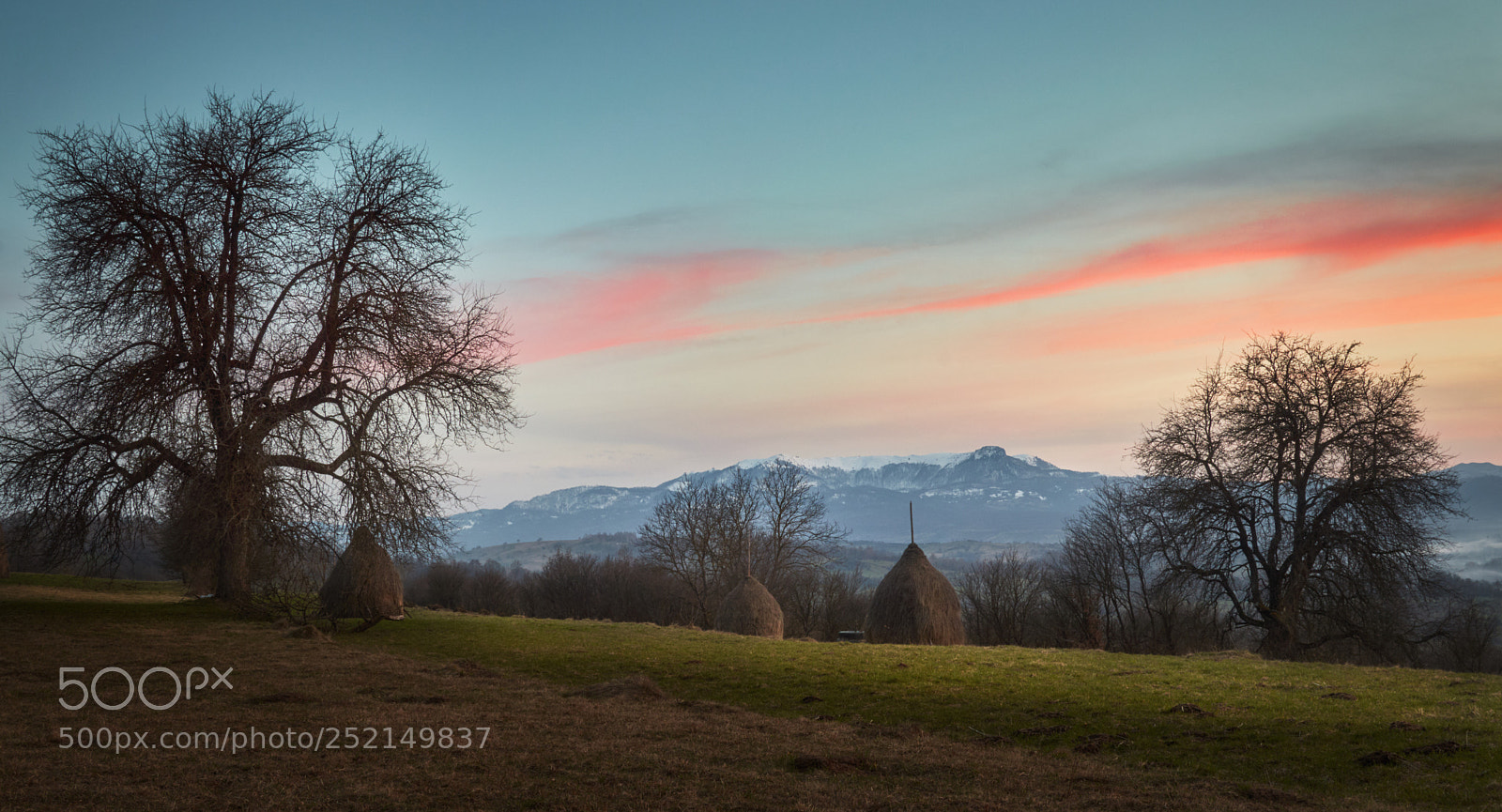 Nikon D3200 sample photo. Blue hour dreams photography
