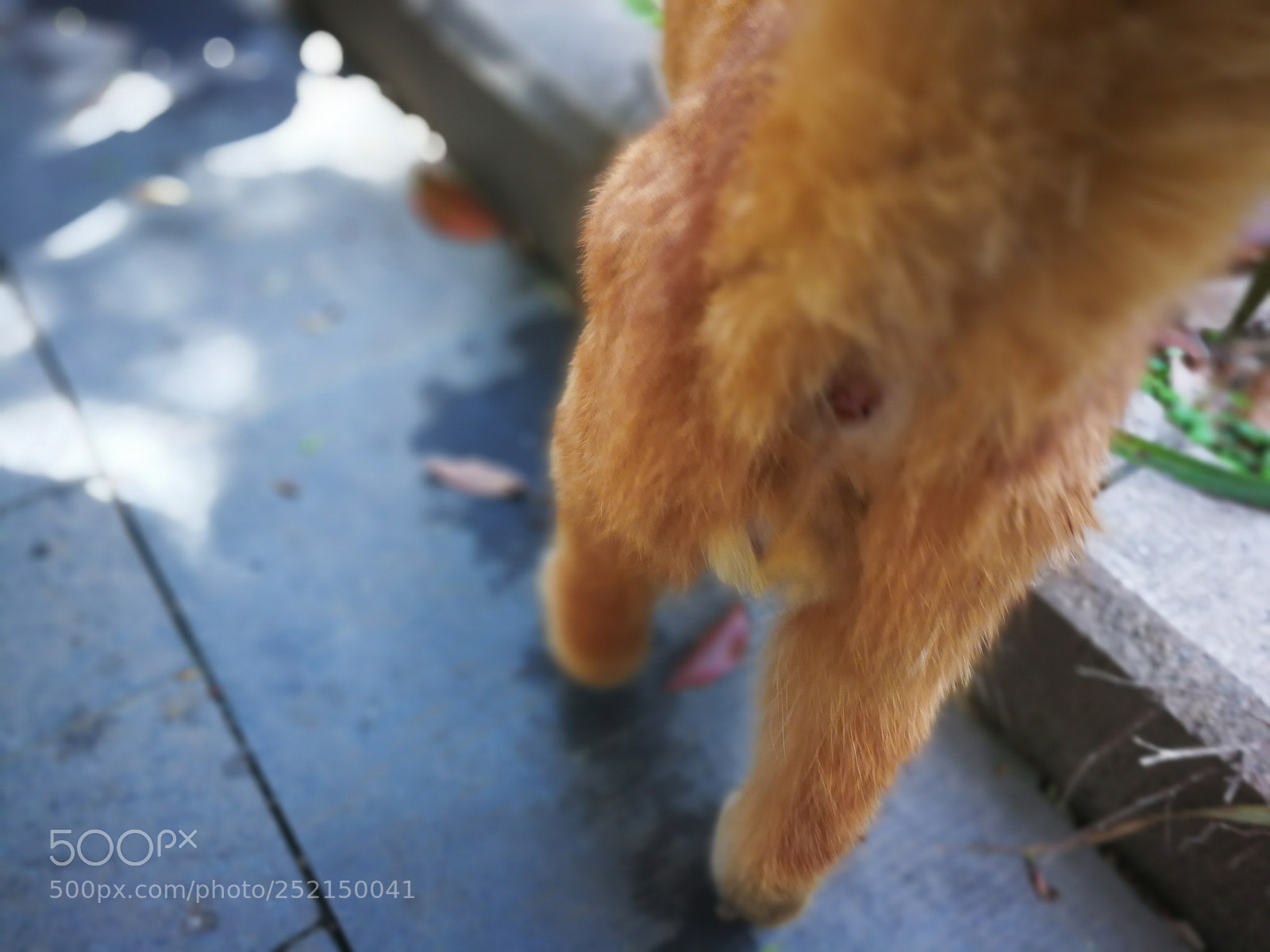HUAWEI Mate 9 sample photo. Untitled photography