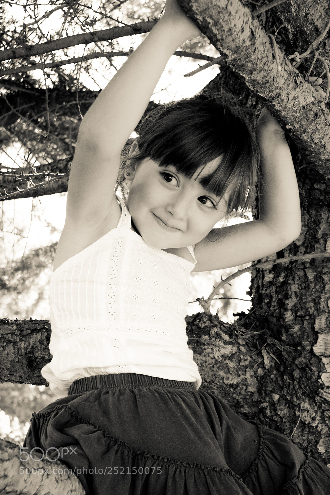 Canon EOS 50D sample photo. Untitled photography