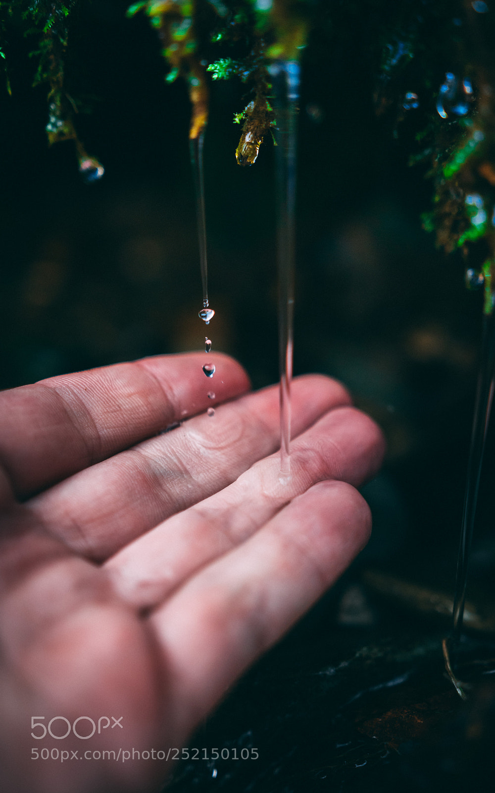 Nikon D500 sample photo. Water photography