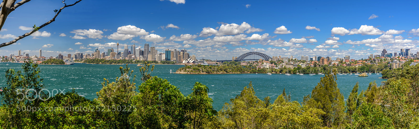 Nikon D610 sample photo. Sydney photography