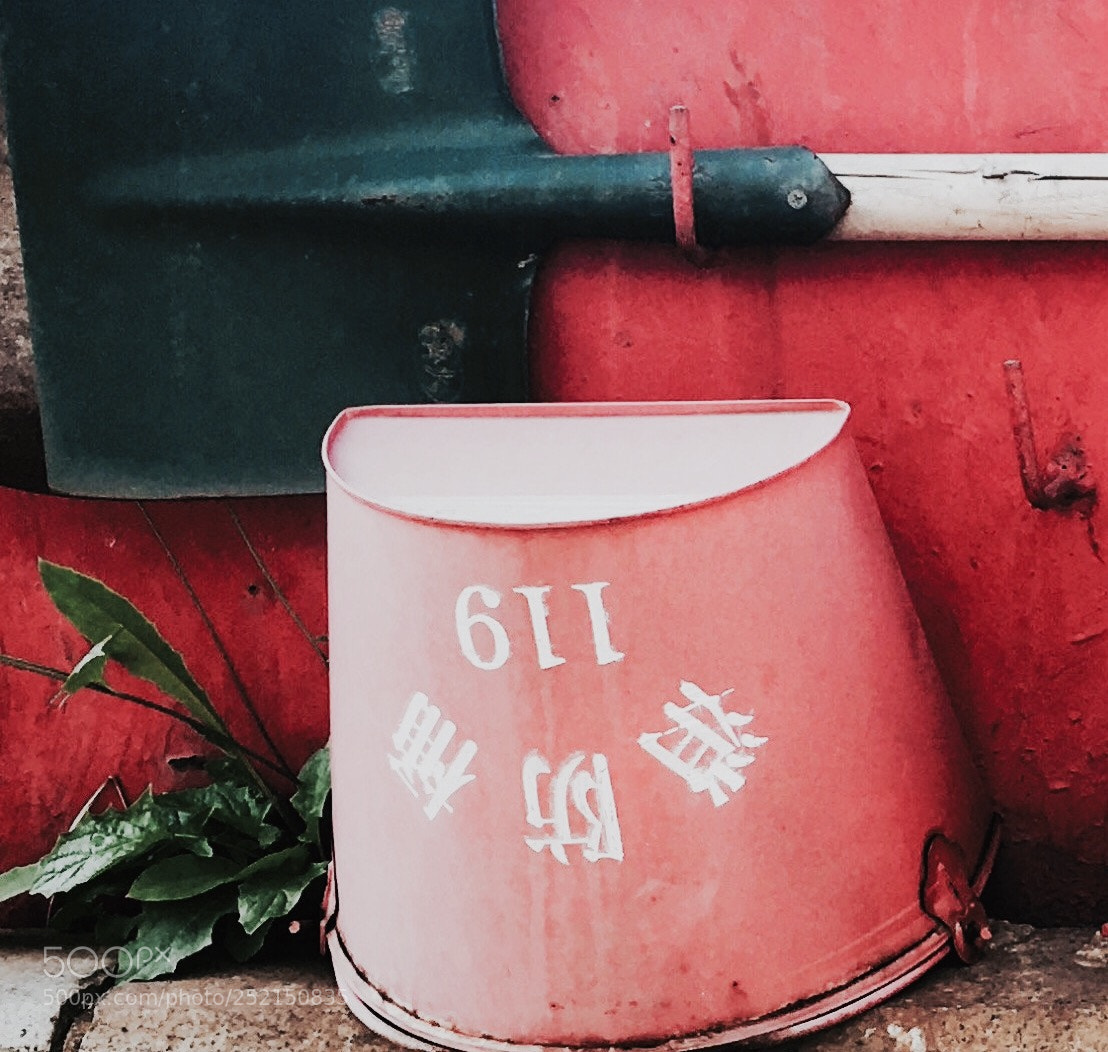 Apple iPhone 6s sample photo. 4.4.4 photography