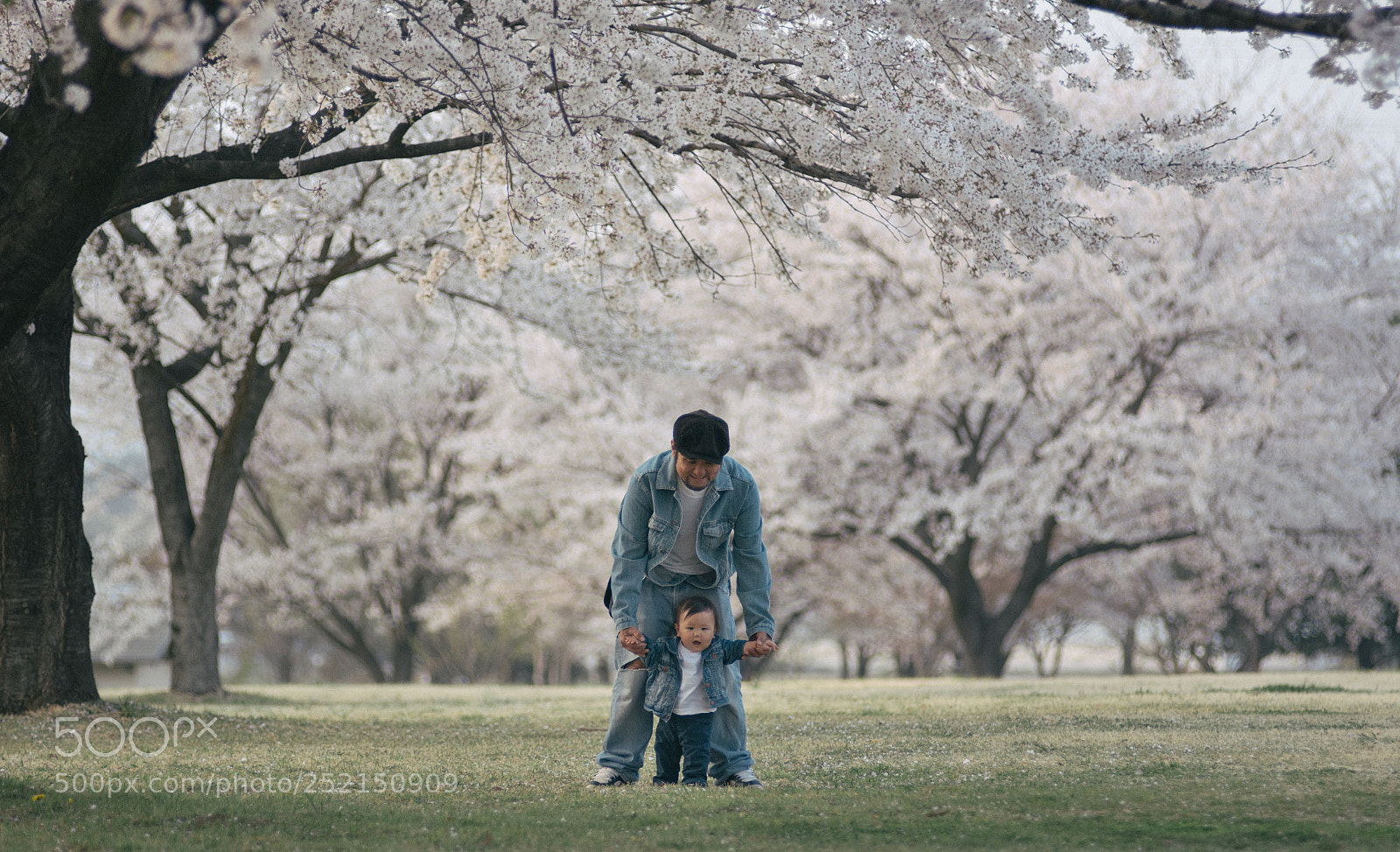 Nikon D7100 sample photo. Untitled photography