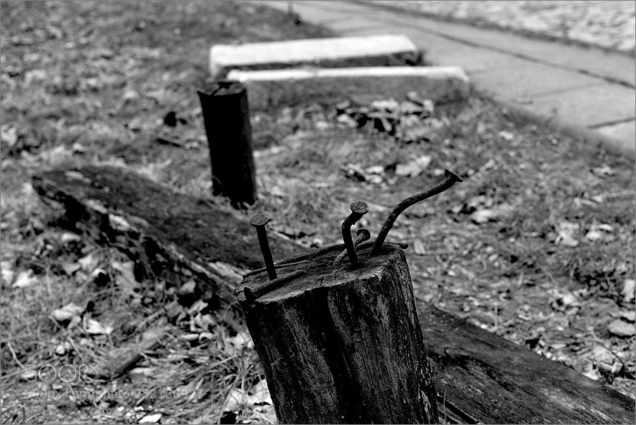 Nikon D610 sample photo. The remains of the photography