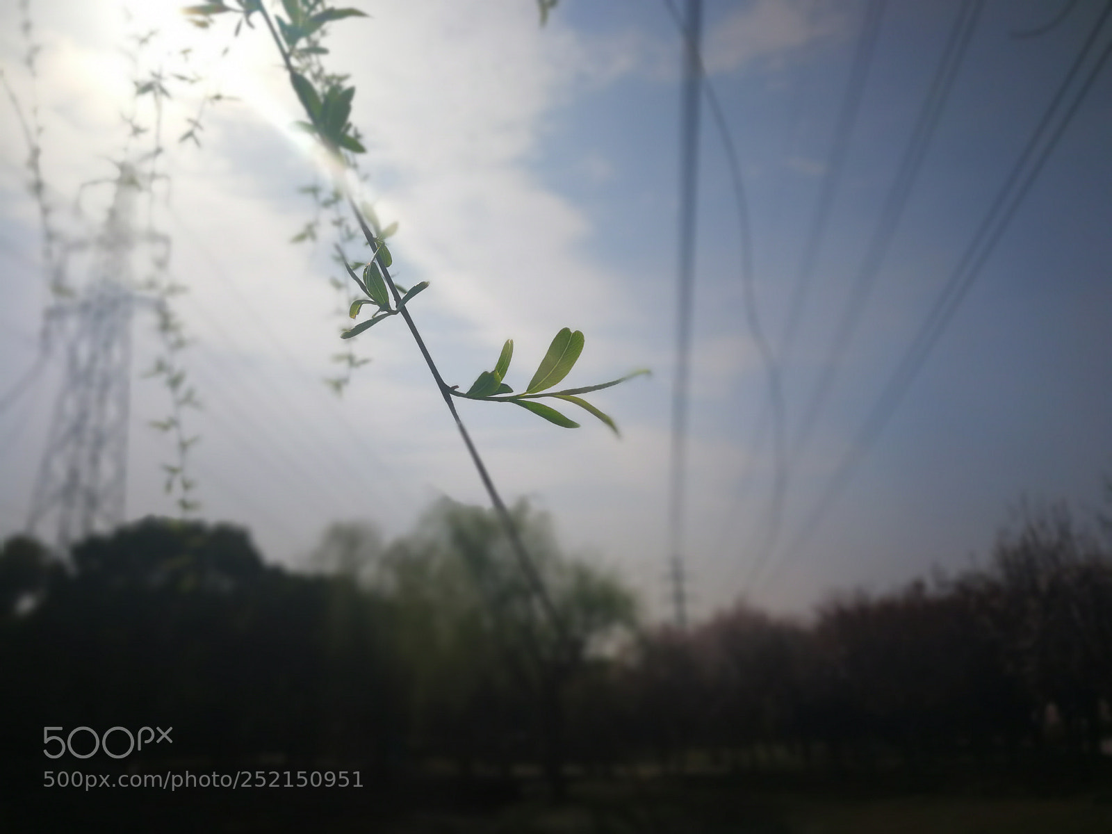HUAWEI Mate 9 sample photo. Untitled photography