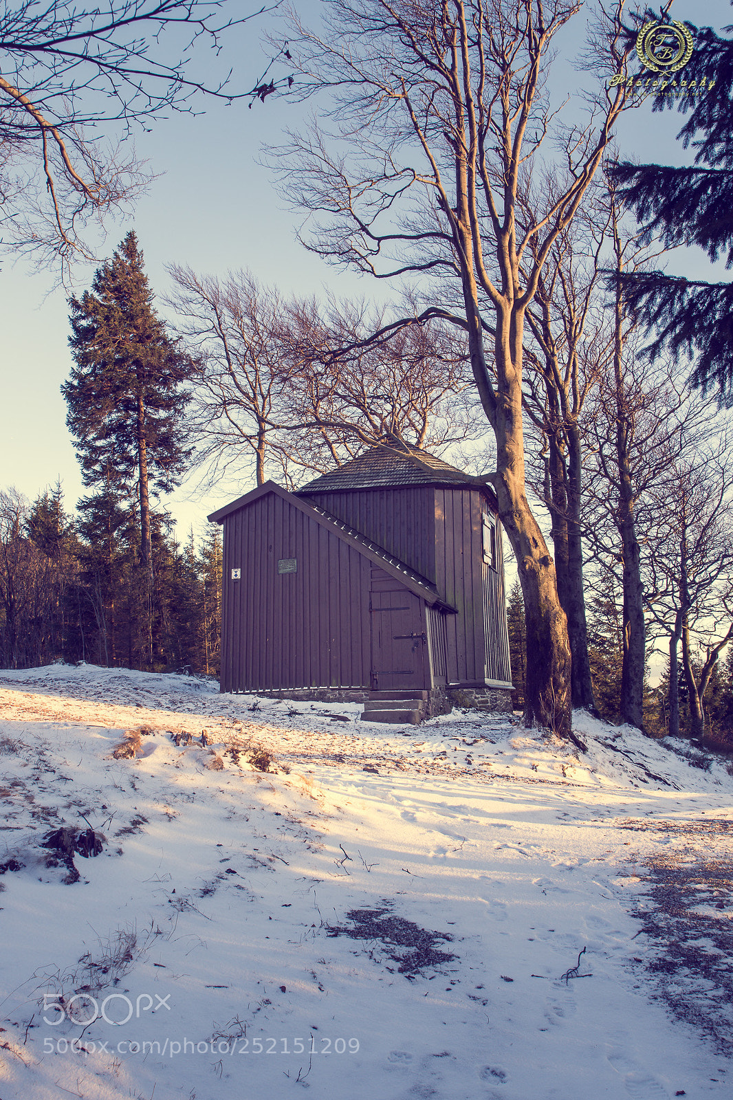 Nikon D7200 sample photo. Goethehäuschen photography