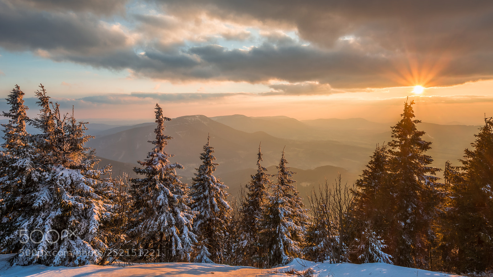 Nikon D5200 sample photo. Winter leaving photography