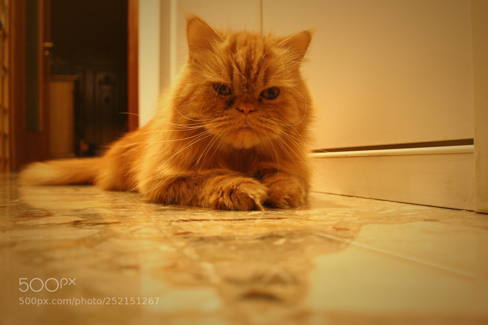 Canon EOS 1000D (EOS Digital Rebel XS / EOS Kiss F) sample photo. The guardian photography