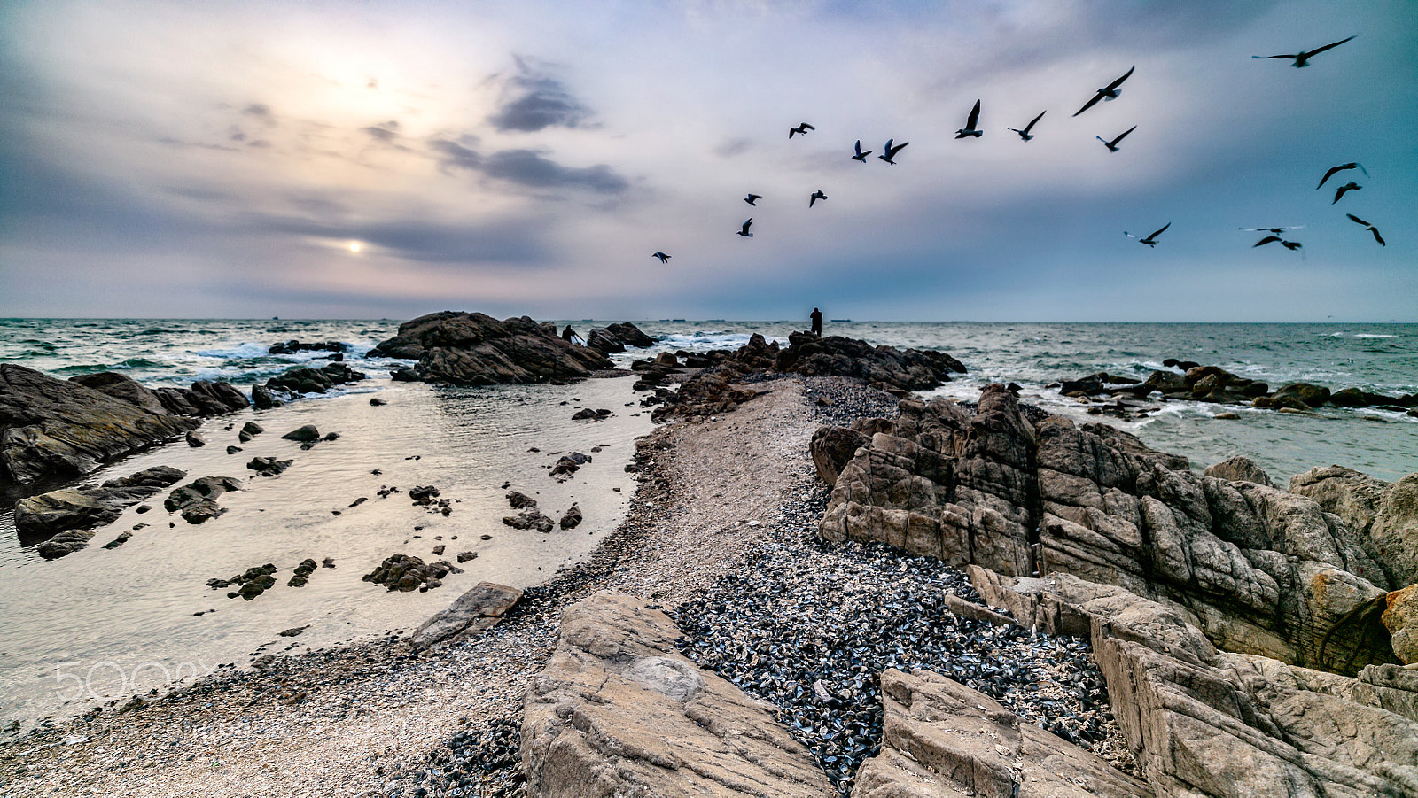 Canon EOS 5DS R sample photo. Birds coming back photography
