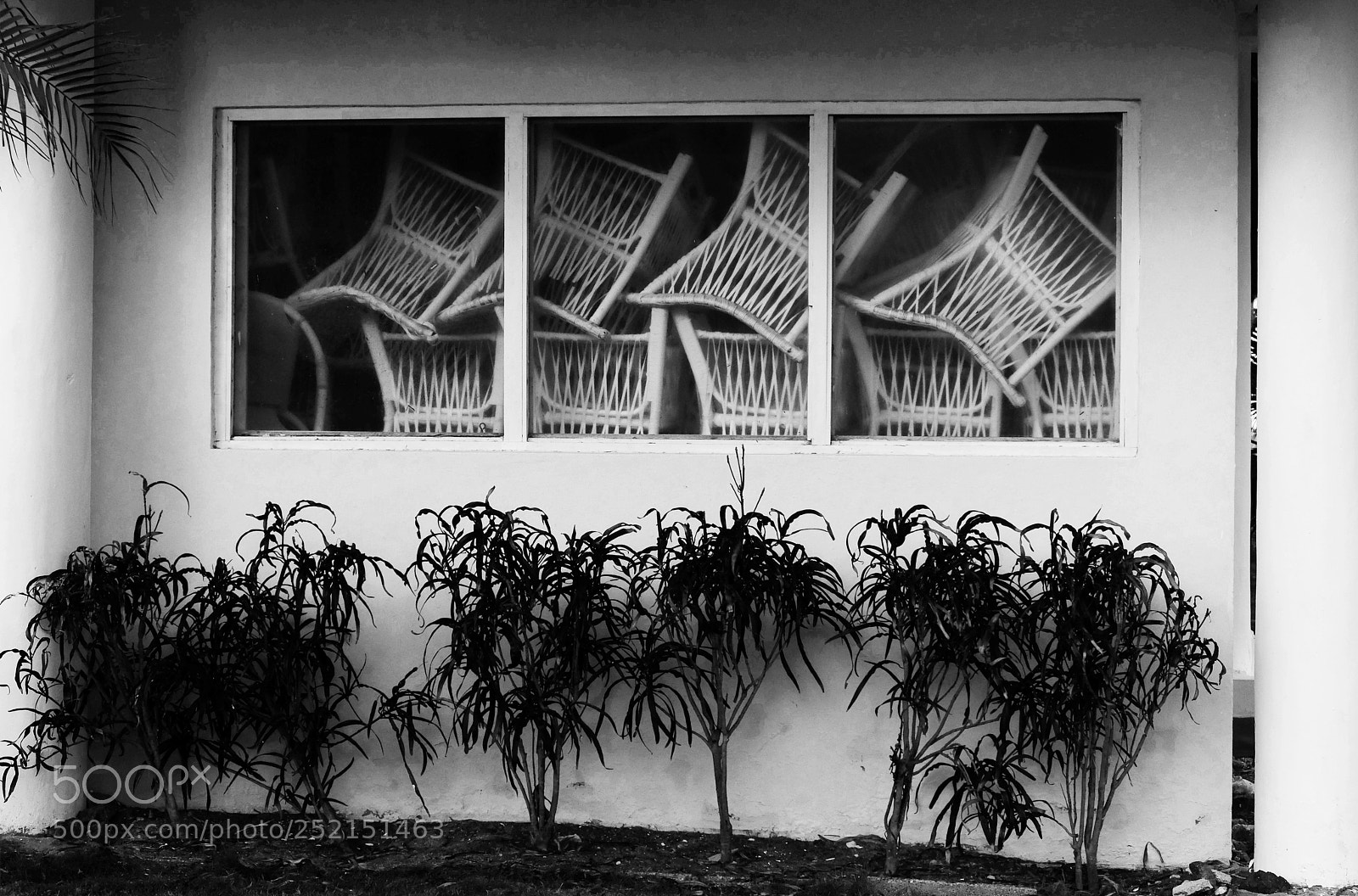 Fujifilm X-T20 sample photo. Window photography
