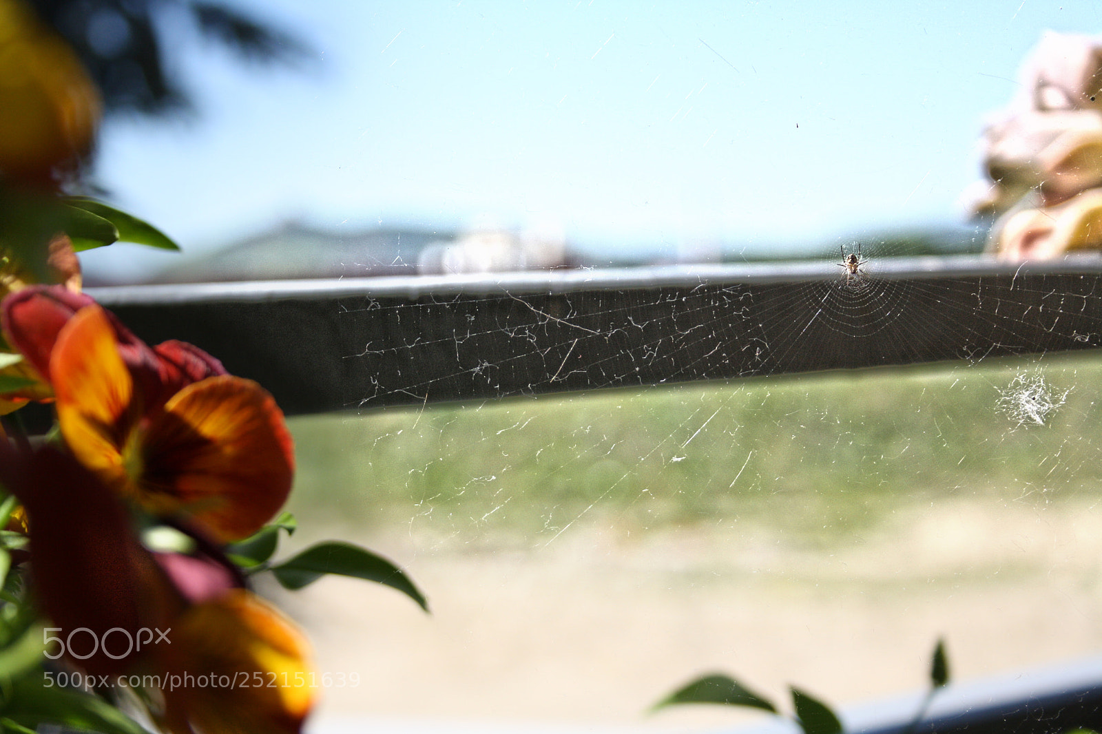 Canon EOS 1000D (EOS Digital Rebel XS / EOS Kiss F) sample photo. Webmaster at work photography