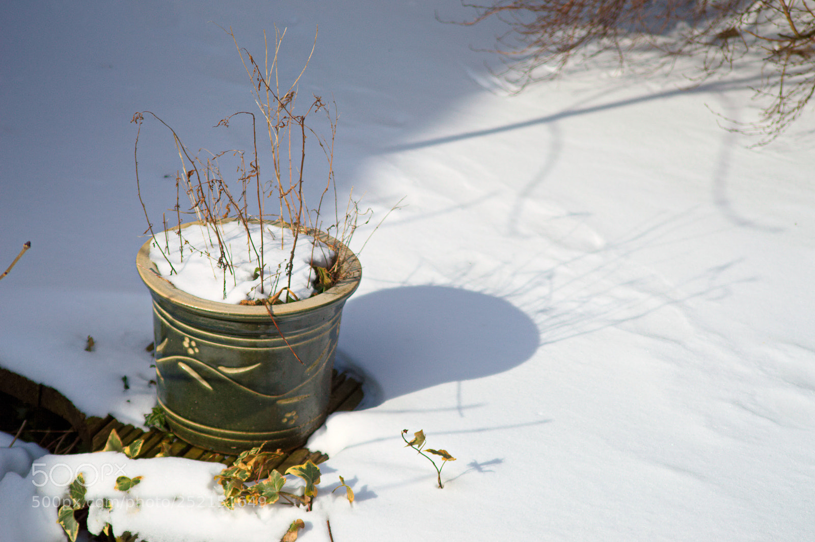 Nikon D3200 sample photo. Planter photography