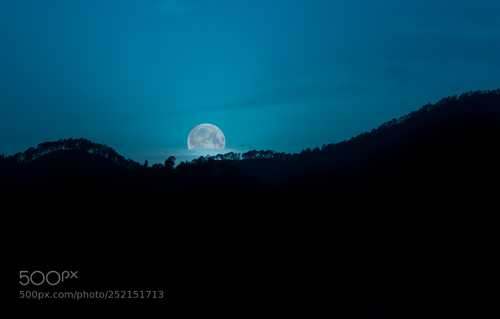 Nikon D810 sample photo. Dusk till dawn photography