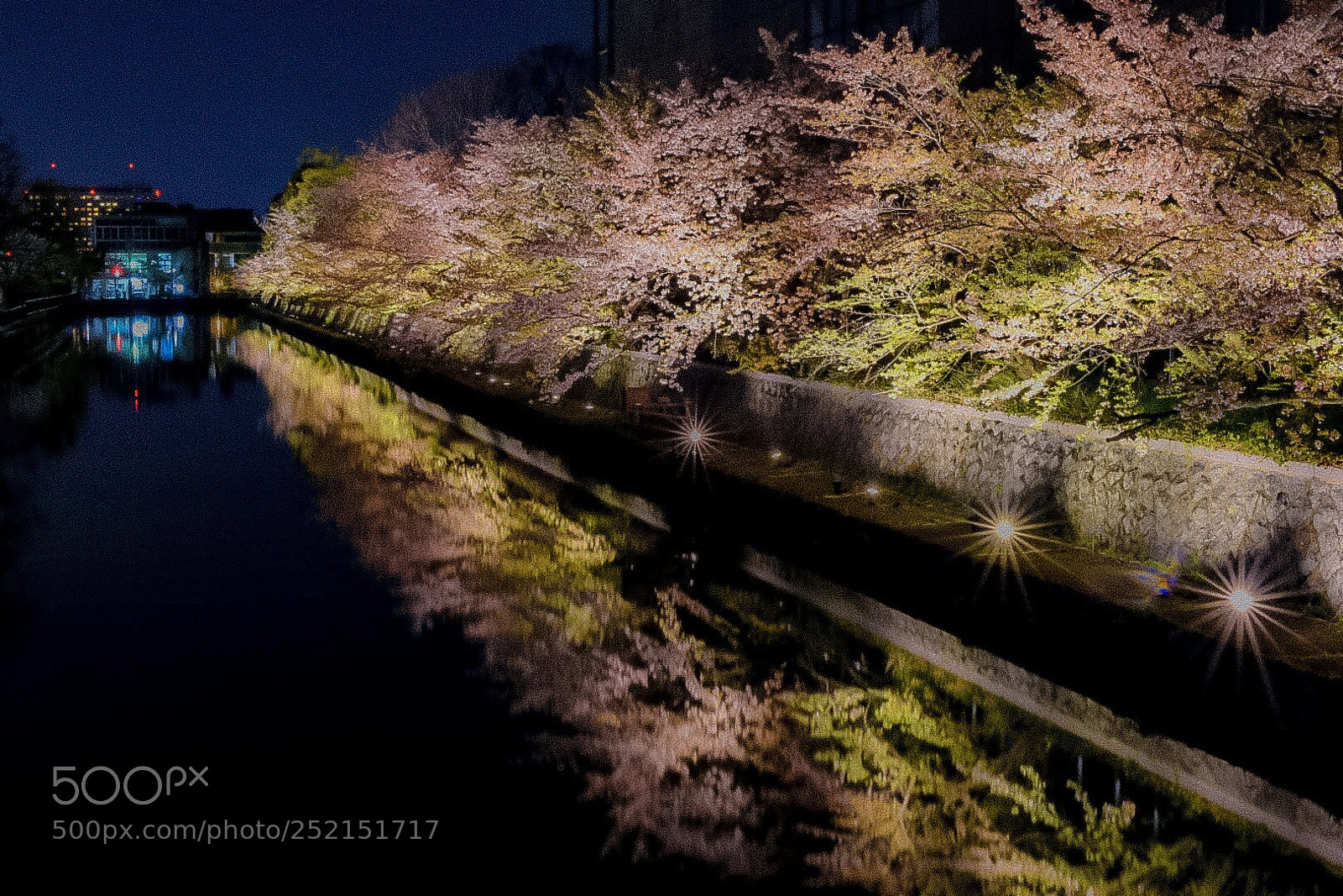 Nikon D7200 sample photo. 岡崎疏水 photography