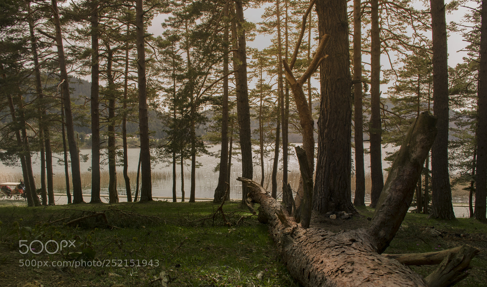 Nikon D5300 sample photo. Abant lake photography