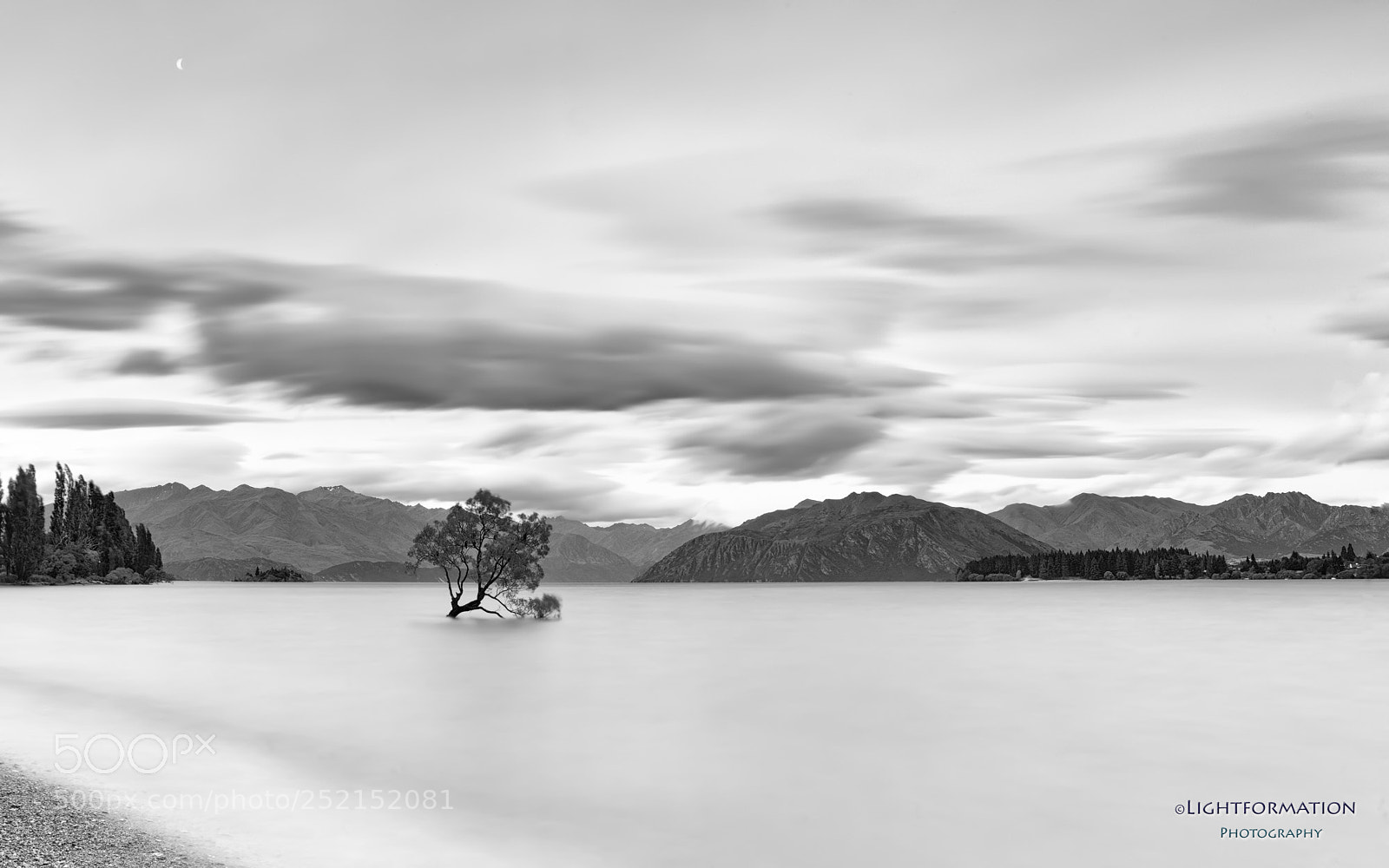 Canon EOS 5DS R sample photo. Wanaka tree bw photography