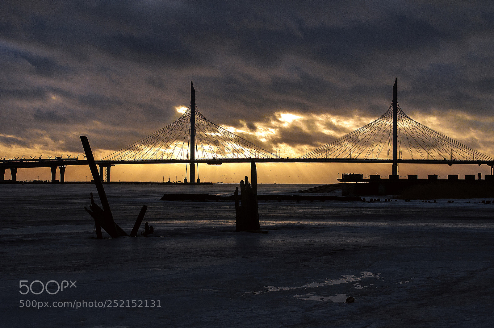 Nikon D5000 sample photo. The cable-stayed bridge across photography