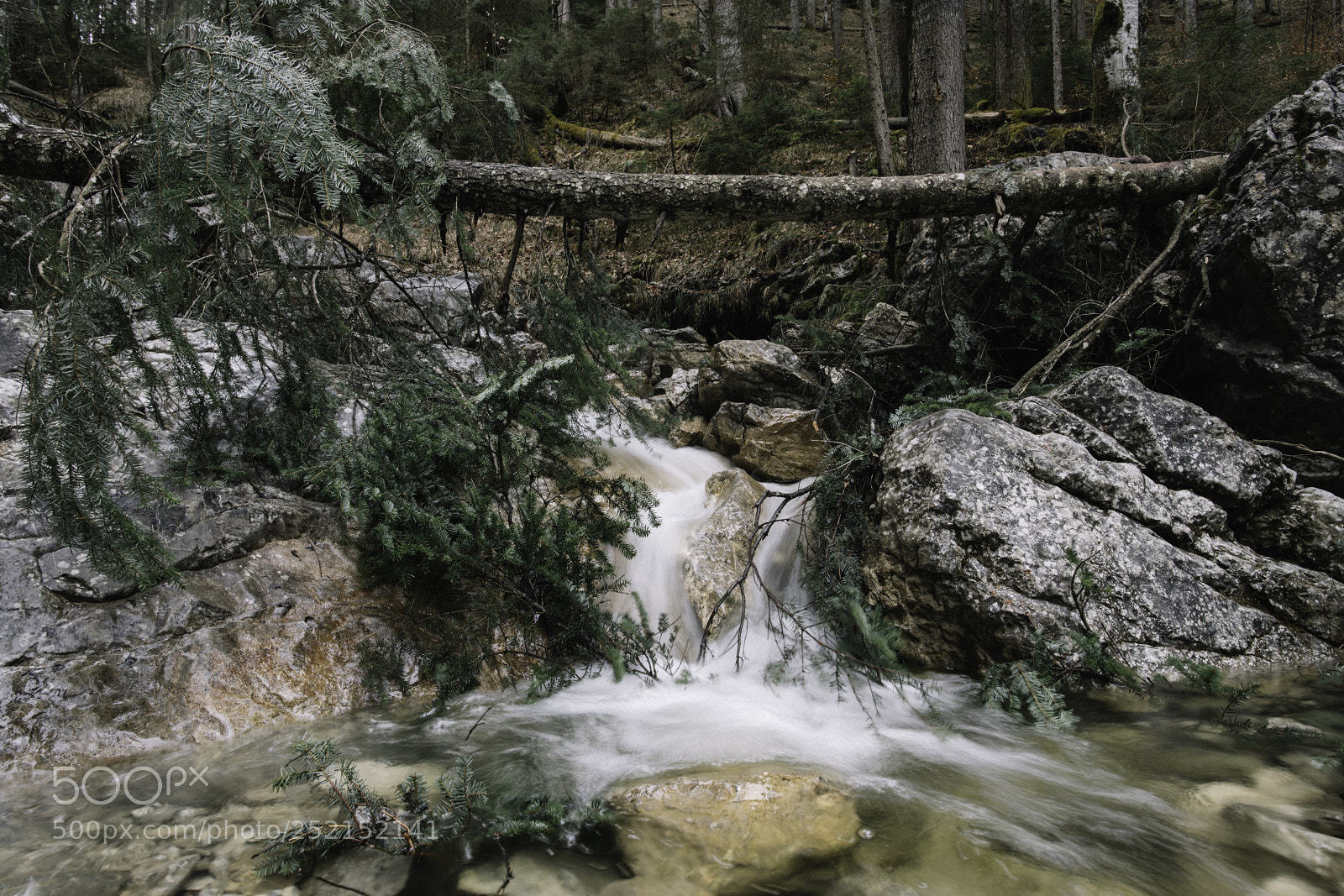 Nikon D850 sample photo. Messy river photography