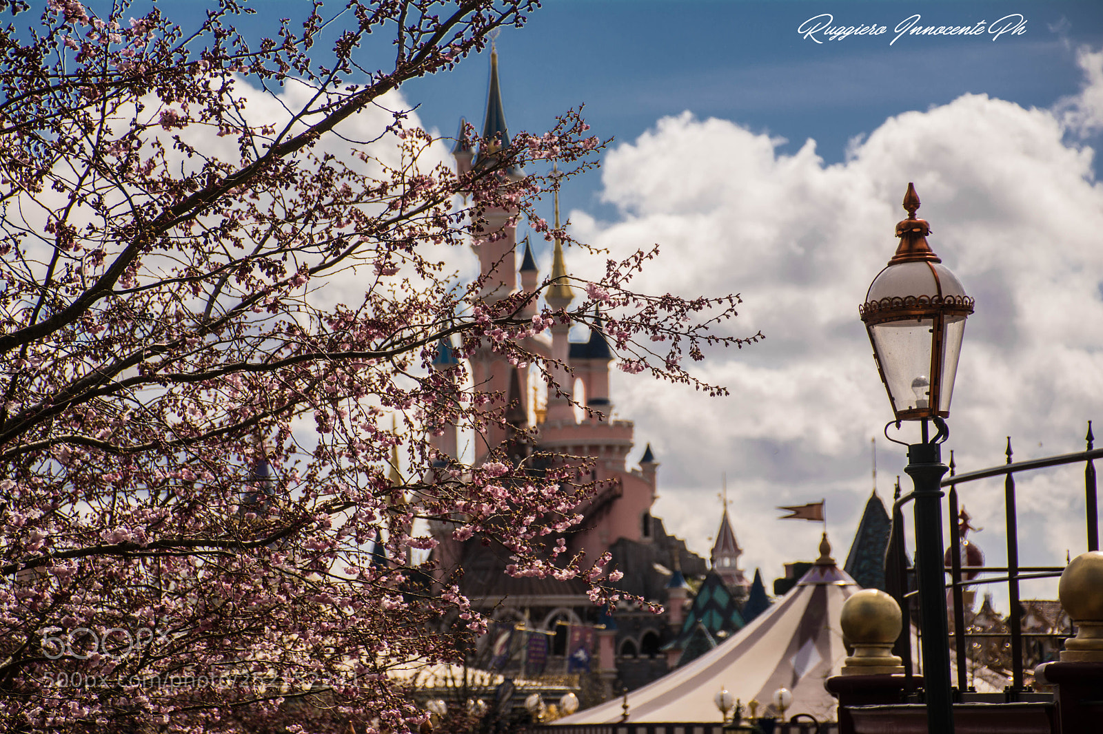 Nikon D7100 sample photo. Disneyland photography