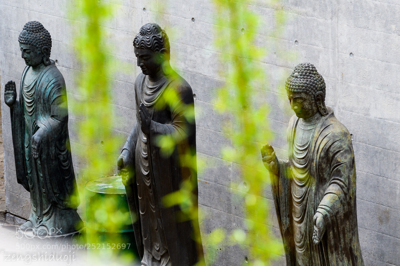 Nikon D500 sample photo. 善哉善哉 photography