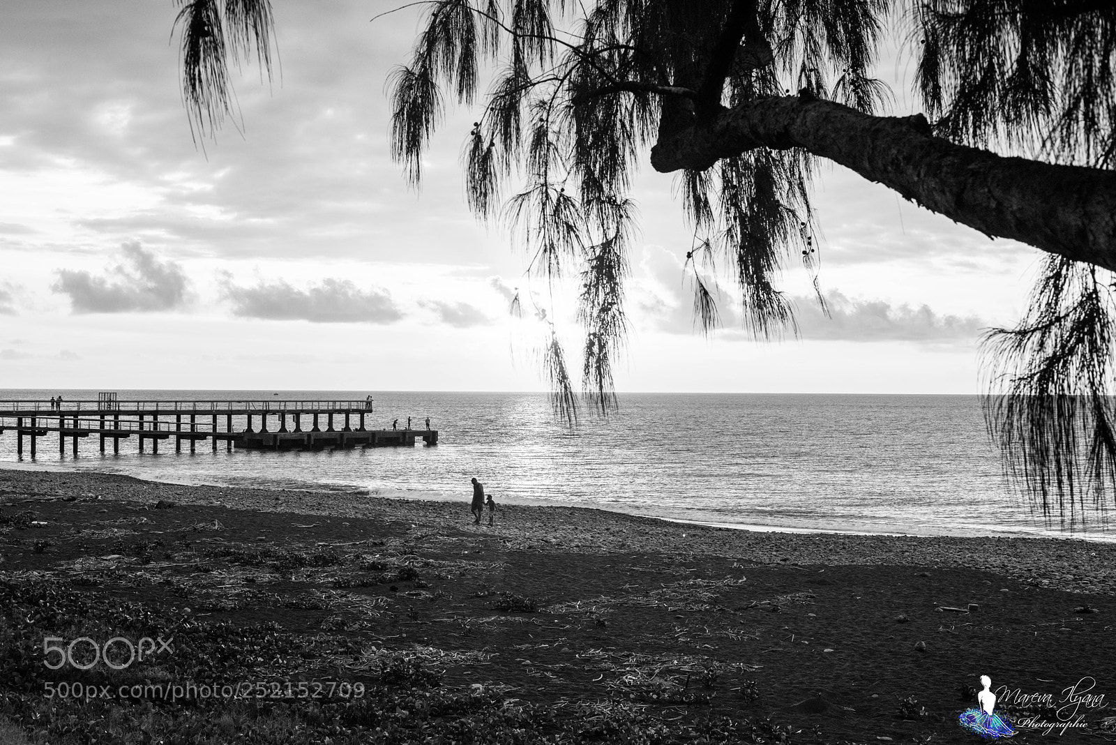 Nikon D810 sample photo. Saint-paul la réunion photography