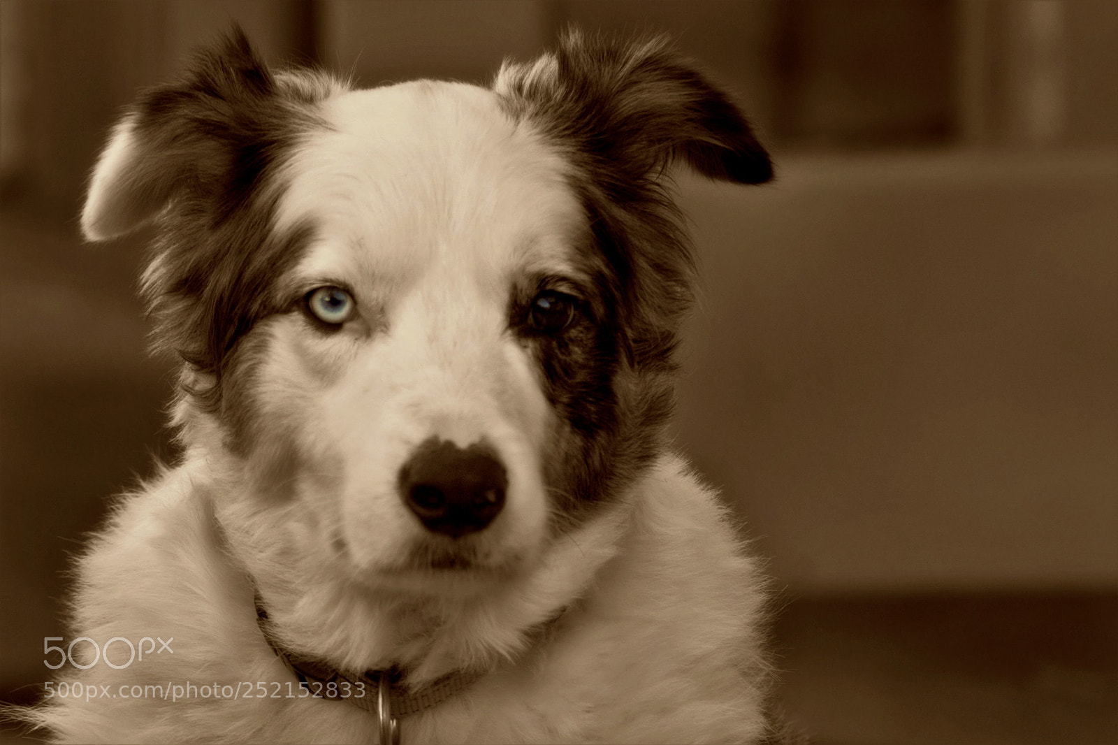 Nikon D5200 sample photo. Cody photography