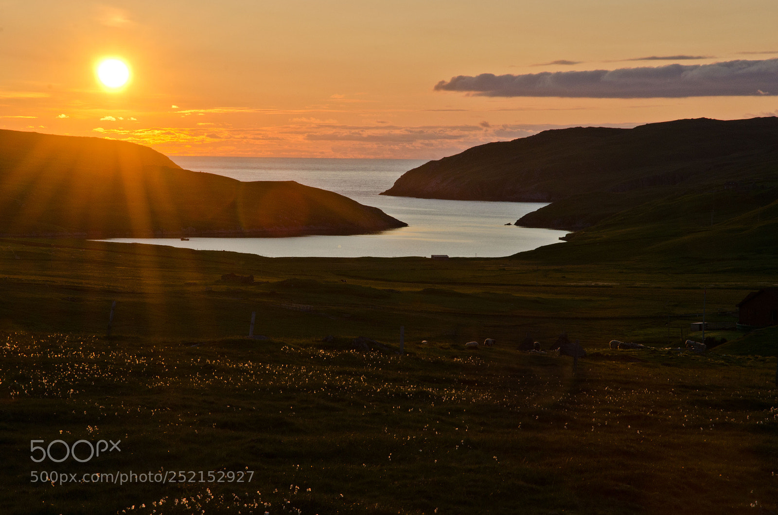 Nikon D7000 sample photo. Sunset over sandvoe photography