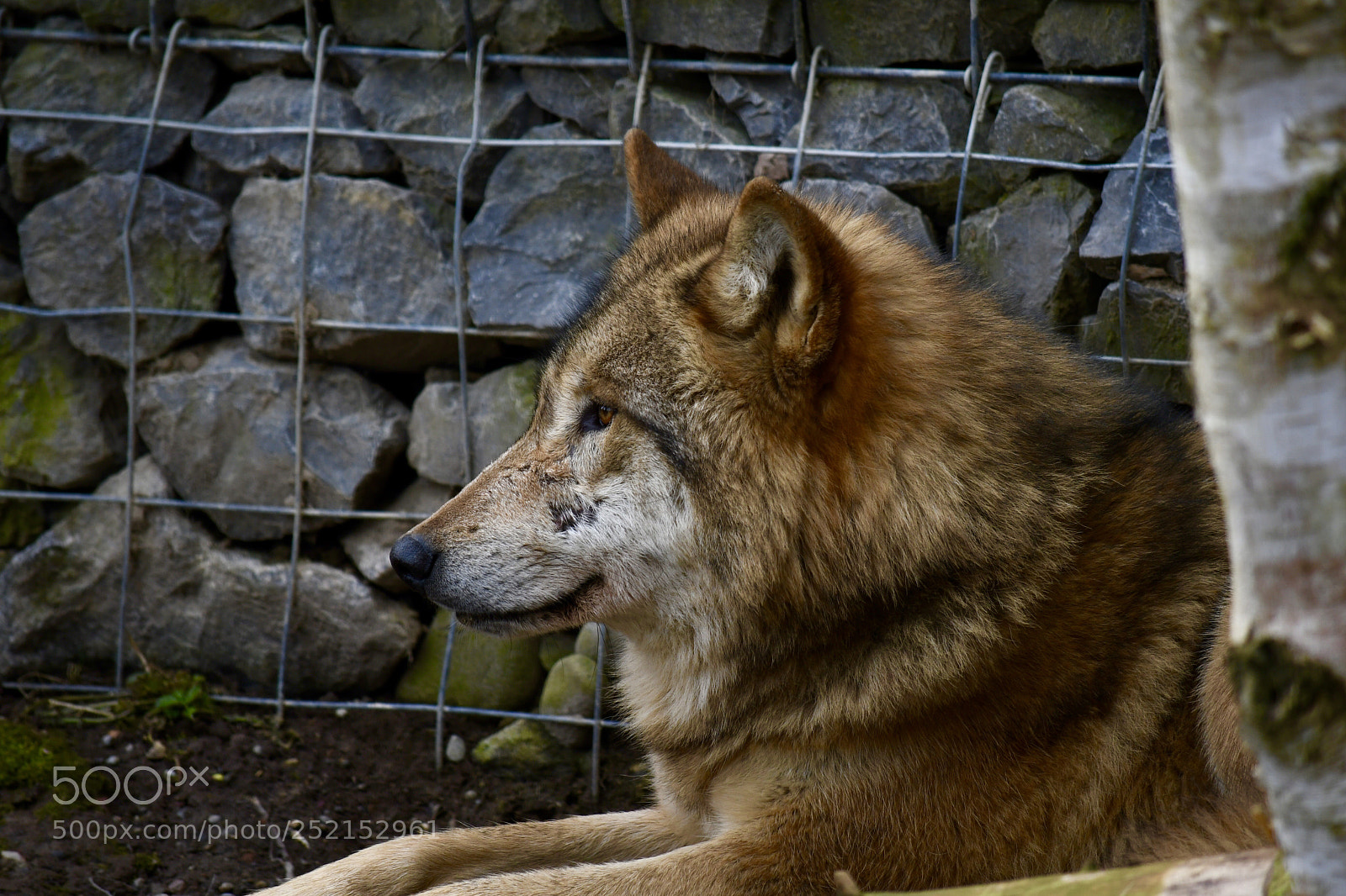 Nikon D7500 sample photo. Untitled photography